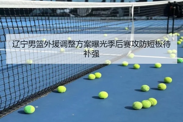 辽宁男篮外援调整方案曝光季后赛攻防短板待补强
